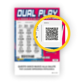 Area QR code del biglietto Dual Play